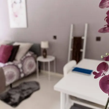 Casa Luna - Wonderful View Apartamento Brione sopra Minusio